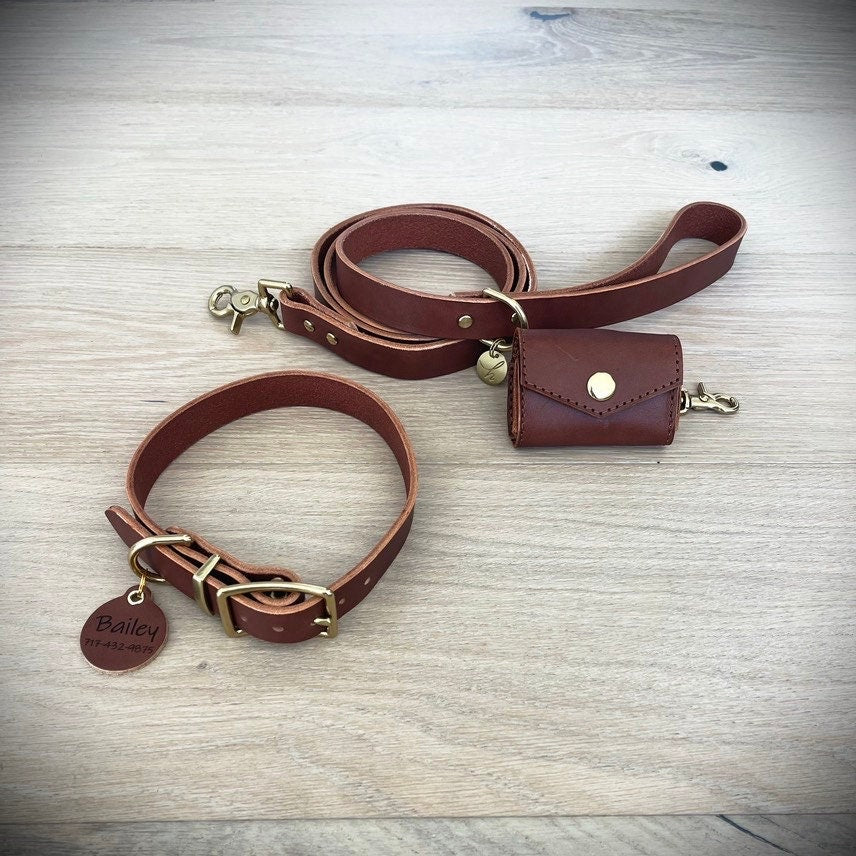 Luxury Dog Harness and Leash Set for S, M, L, XL Dogs  Waterproof PU  Leather Dog Collar (Brown, White) Puppies, Dogs (Small, Brown): Buy Online  at Best Price in UAE 