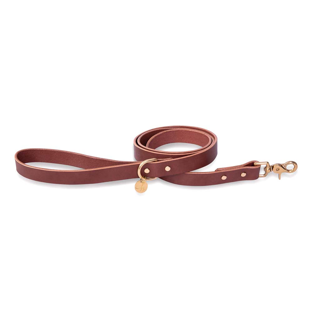 Brown Luxury Leather Dog Leash