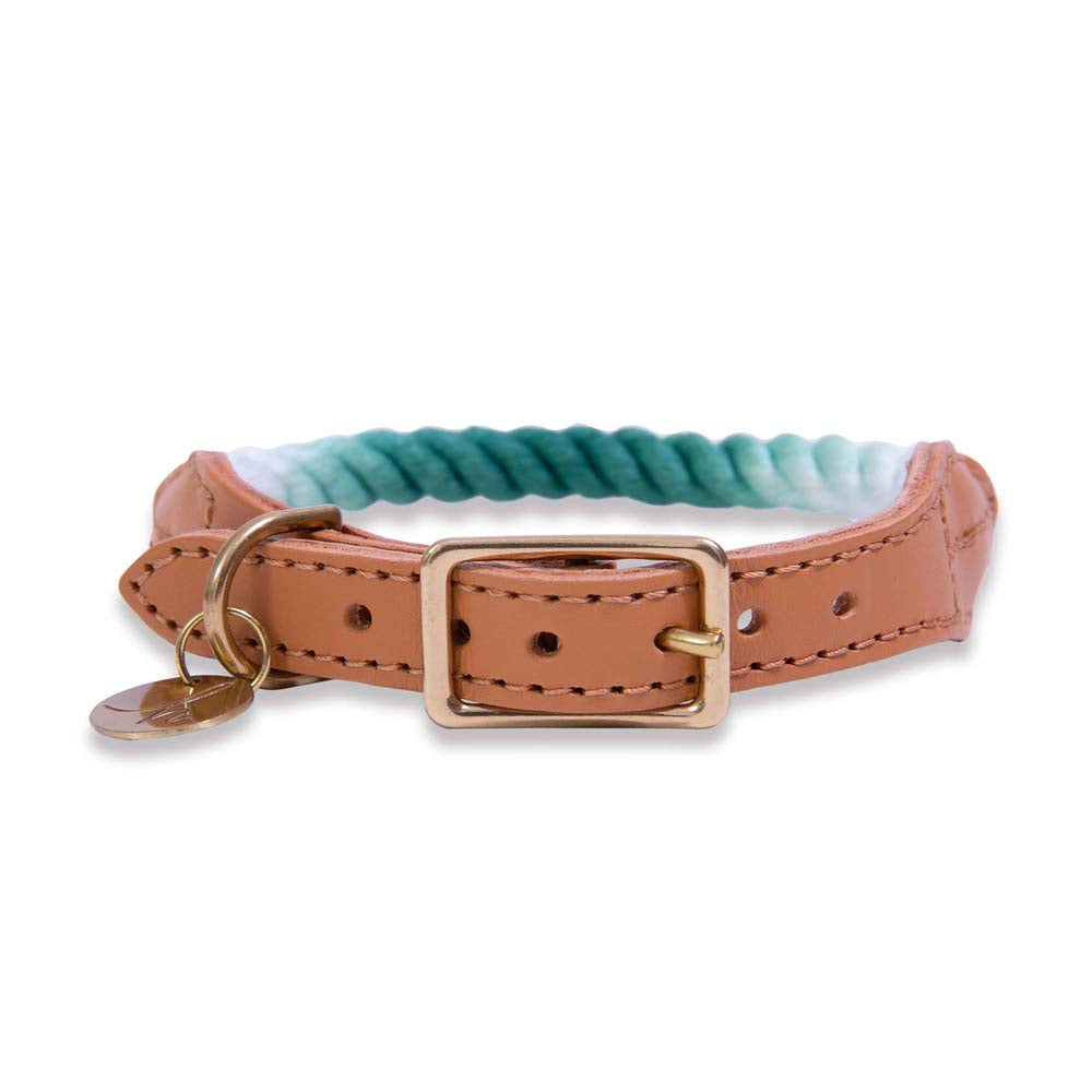 Teal Ombre Rope & Leather Dog Collar