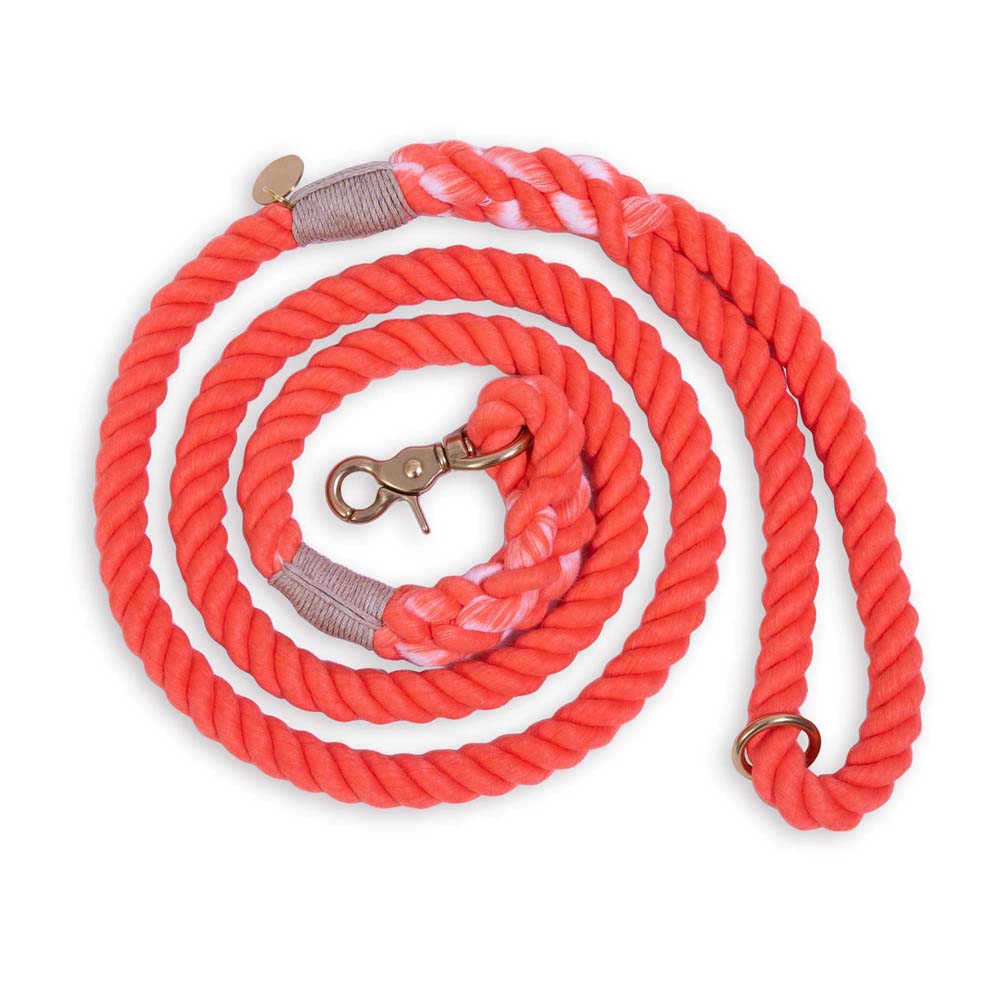  Dog Traction Rope Dog Cat Collar Pure Handmade Genuiner  Leather Pet Collar Necklace Dog Accessories Poodle Bulldog Yorkshire XS :  Pet Supplies