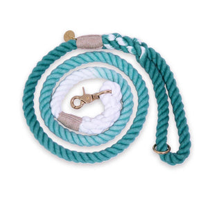 Teal Ombre Rope and Leather Dog Collar & Leash Bundle