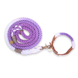 Periwinkle Ombre Rope and Leather Dog Collar & Leash Bundle