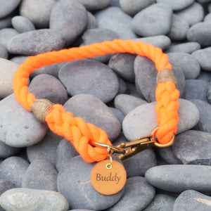 Rope Dog Collar - Orange | Mariner Series